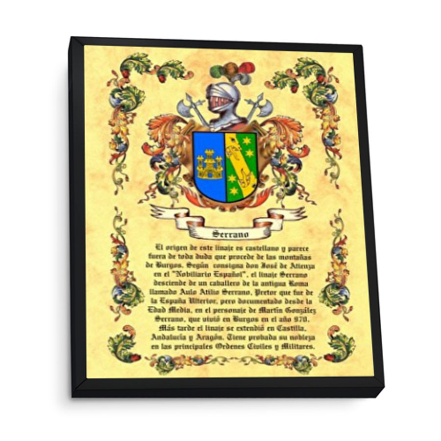 Cuadro escudos heráldicos 1 apellido, marco aluminio (30x40 cms.)