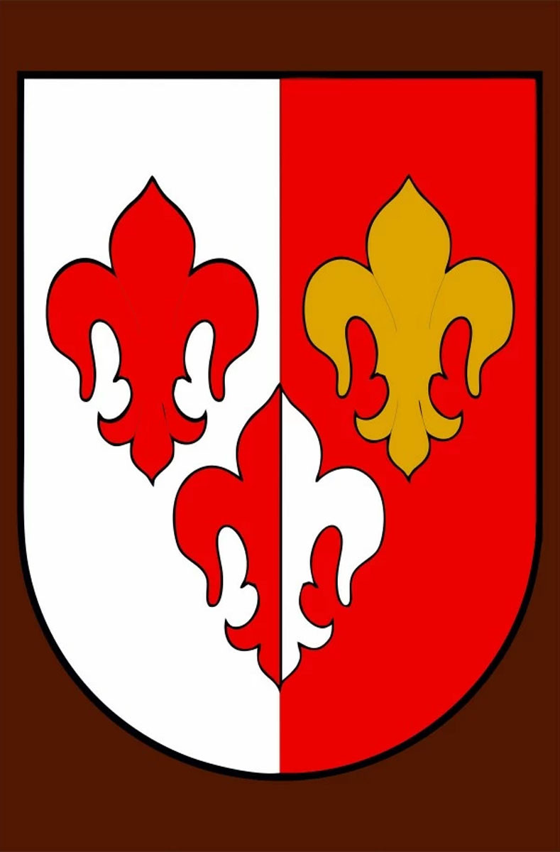 Estandarte medieval 3 flores de lys, 100 x 70 cm.