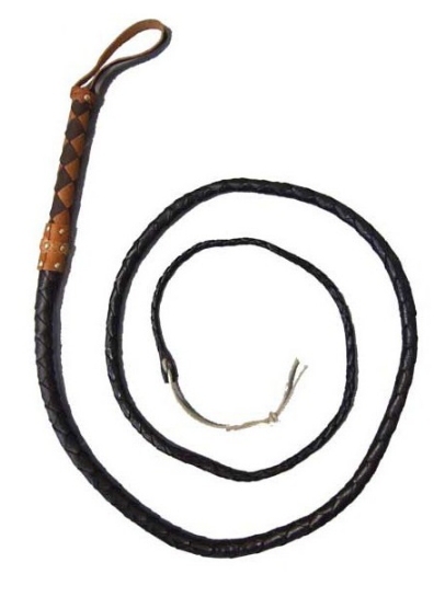 Látigo de piel largo - Les instruments de torture médiévaux les plus sadiques et létaux : Un voyage dans les ténèbres de l'histoire