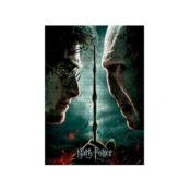 puzzle-de-1000-piezas-de-harry-vs-voldemort-de-harry-potter