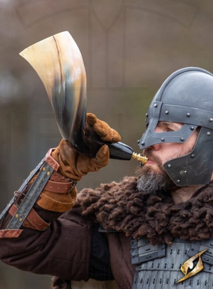 Armadura vikinga ajustable ⚔️ Tienda-Medieval