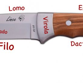 Dactilera (cuchillo)