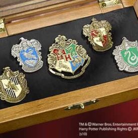 Pins escuelas Hogwarts, Harry Potter